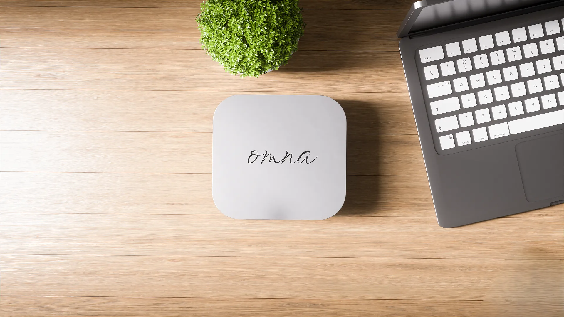Top-down view of wooden desktop workspace with Omna device, potted plant, and laptop